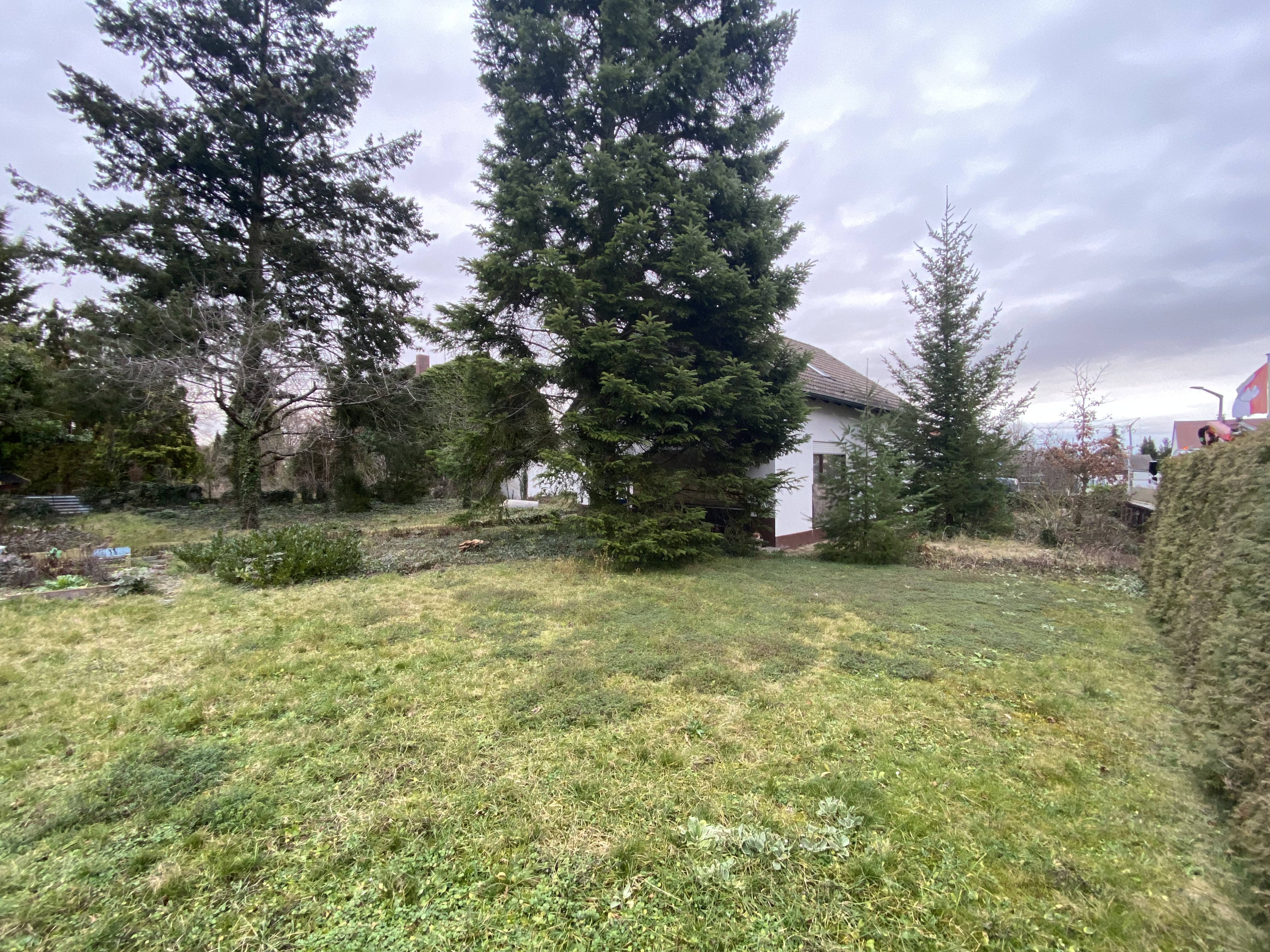 Garten vor der Neugestaltung